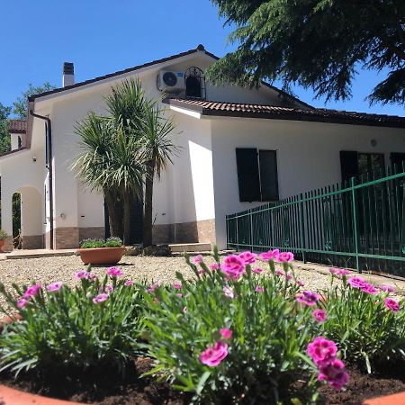 B&B Zac House Toirano Kültér fotó